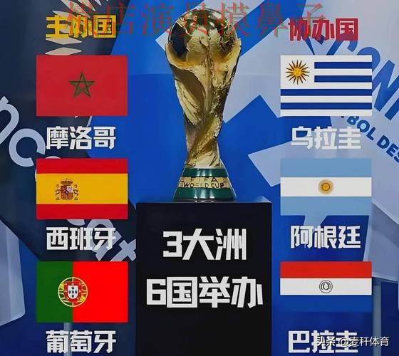 世界杯直播背景下的世界杯投注平台合集精选与安全入口直播解析