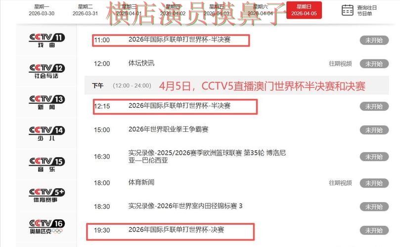世界杯直播背景下的世界杯投注平台解析与真实体验 世界杯直播背景下的世界杯投注平台解析与真实体验